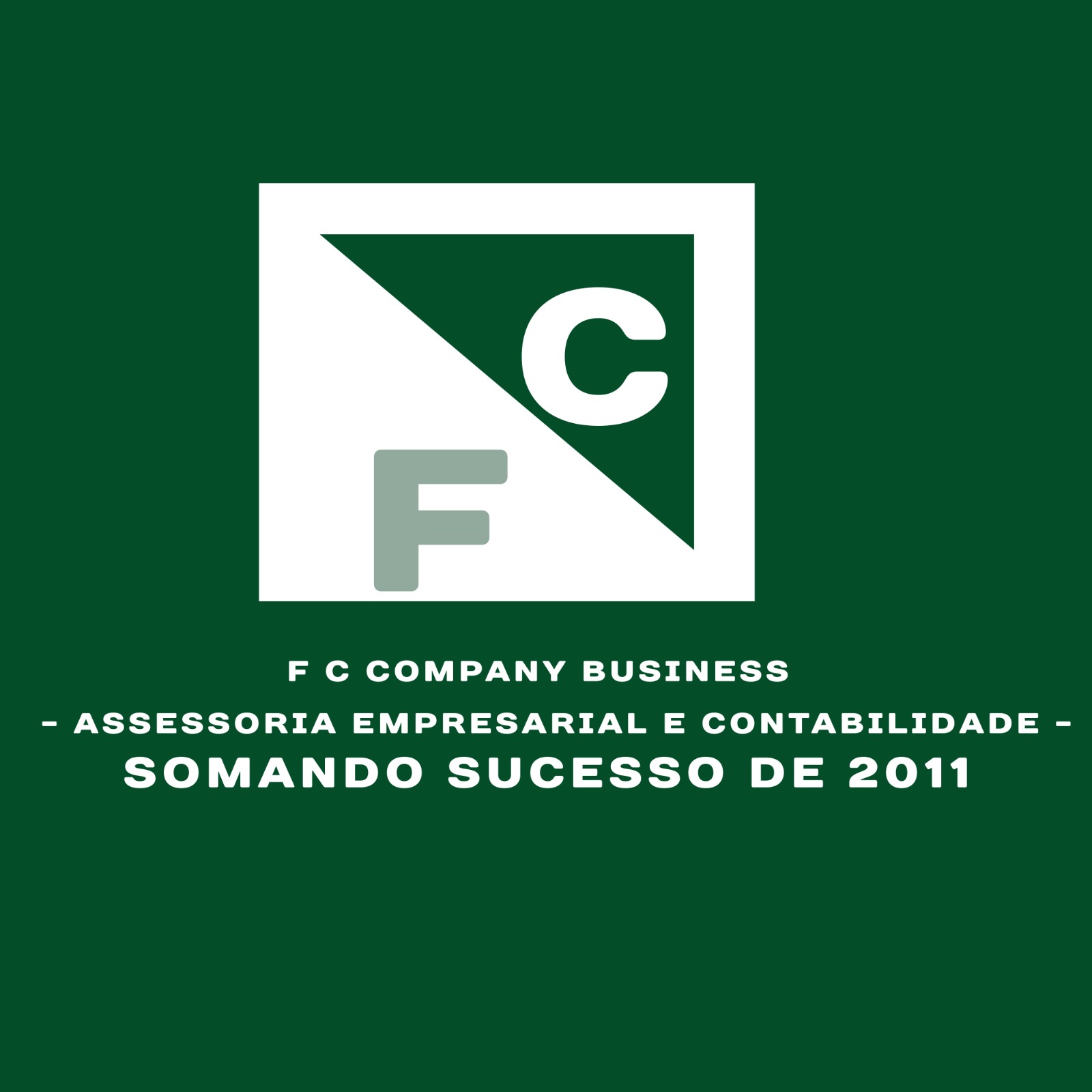 F C BUSINESS CONTABILIDADE